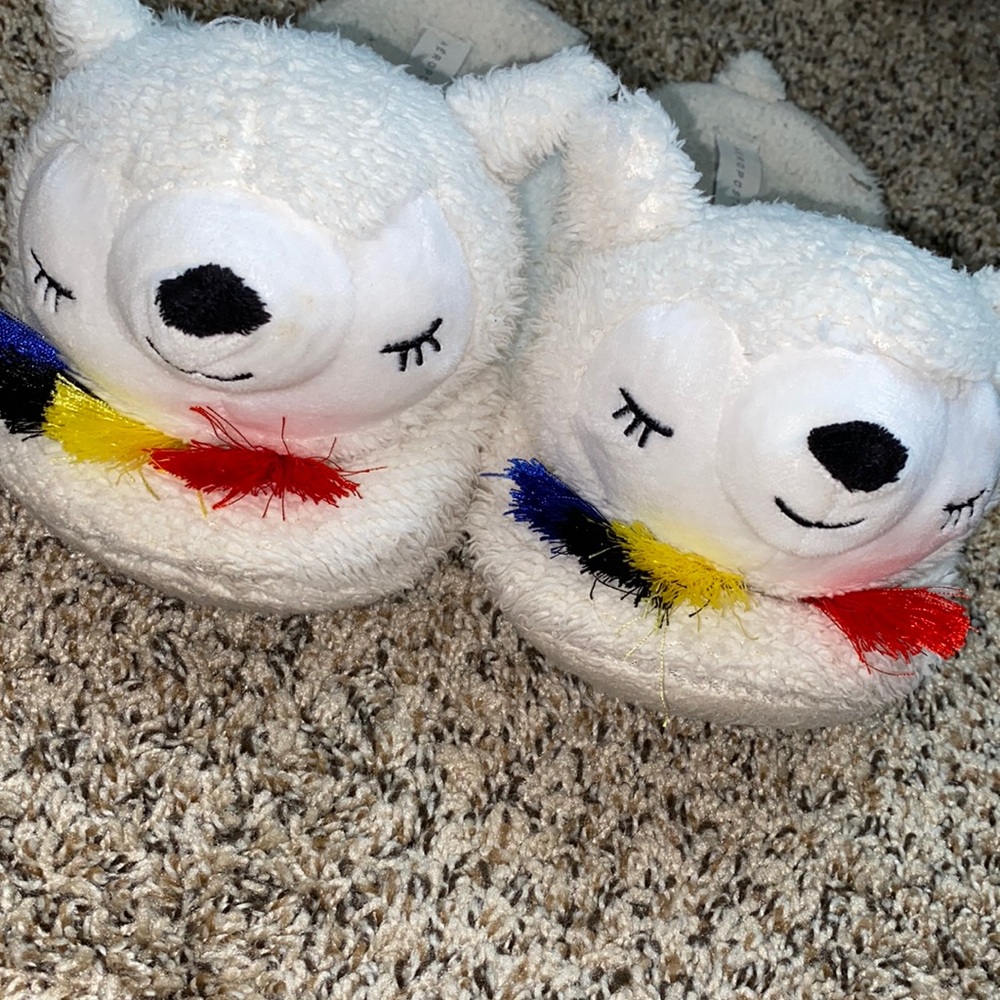 Slippers